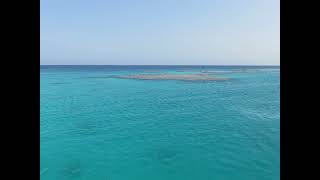 Hamata reefs and islands swim with Sataya dolphins boat trip [upl. by Roehm]