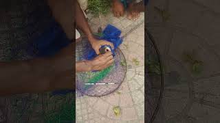 2 কেজি রুই মাছ। fishing shortvideo fishingtime [upl. by Eissej410]