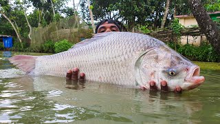 Best Cast Net Fishing In Pond fishing [upl. by Enayr655]