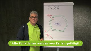 Die Zelle  Die 9 Bedingungen der physiologischen Zellfunktionen Teil 2 [upl. by Nerty]