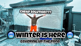 Will it work CHEAP Pond COVERS solution  Getting the pond ready for winter Should I cover [upl. by Ayotna]