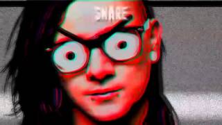 Omegamode  Hey Skrillex  LYRICS [upl. by Balbinder719]