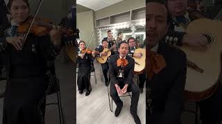 I just lost my dawg mariachi version [upl. by Kyle]