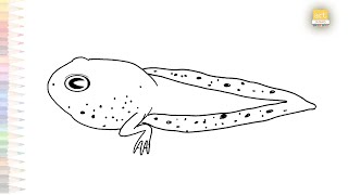 Tadpole easy drawing  baby frog sketches  How to draw A Tadpole step by step simply  artjanag [upl. by Aerona409]