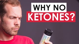 No Ketones In Urine But On A Ketogenic Diet  Heres why [upl. by Jeconiah]