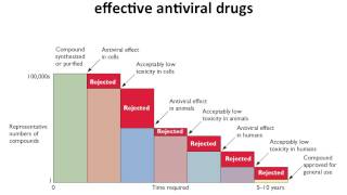 Virology 2013 Lecture 21  Antivirals [upl. by Eilliw185]