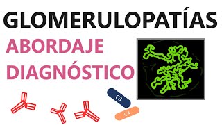 Nefrología  Glomerulopatías Abordaje diagnóstico [upl. by Grosz]