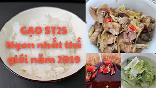 Review gạo ST25 gạo ngon nhất thế giới 2019 [upl. by Amathist949]