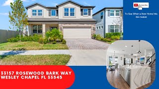 33157 Rosewood Bark Way Wesley Chapel FL 33545 [upl. by Blunt412]