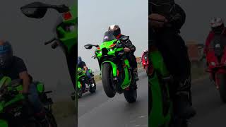 2022 kawasaki zx10r zx10r wheelie youtubeshorts shots status [upl. by Ehman]