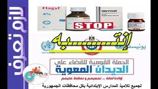 Metronidazole amp Mebendazole تداخل أدوية المطهرات المعوية وأدوية الديدان كل ثلاثاء من لازم تعرف [upl. by Ahsenrat]