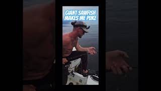 Got this giant sawfish to the boat and started puking 🤣🤷🏻‍♂️ sawfish endangeredspecies [upl. by Brenza886]