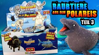 Sbabam ® Kreaturex  Raubtiere aus dem Polareis  Teil 3  Polar Predators  Predatori Polari [upl. by Damas417]