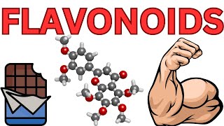 Overview flavonoids facts [upl. by Prem]