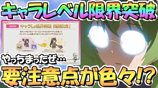 【プリコネR】要注意点あり！キャラレベル限界突破が結構エグい素材要求数かつ重要機能っぽいので解説【キャラLv上限解放】 [upl. by Aigil]