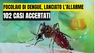 FOCOLAIO DI DENGUE SITUAZIONE FUORI CONTROLLO LALLARME DI BURIONI [upl. by Uttica]