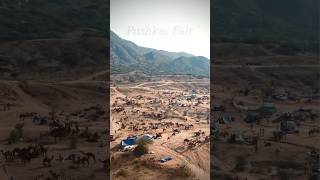 सबसे बड़ा ऊँटो का मेला। camels villagelife camel rajasthani food village viralvideos funny [upl. by Ulyram646]