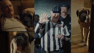 The Farmers Dog Commercial 2024 Referee Ad Review [upl. by Ynwat]