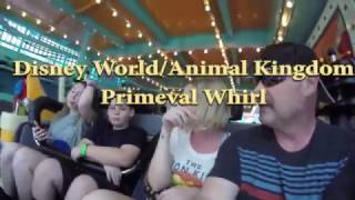 Primeval Whirl at Disney’s Animal Kingdom [upl. by Enyehc658]