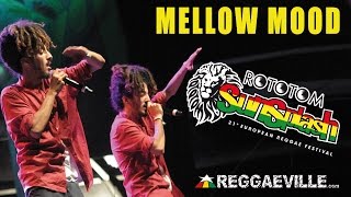 Mellow Mood amp Friends  Rototom Sunsplash 2014 8182014 [upl. by Nezah]