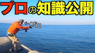 釣りにおけるポイントとルアー選びをわかりやすく [upl. by Kolnos]