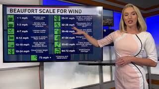 Wind strength explained using the Beaufort Wind Scale [upl. by Arymat]