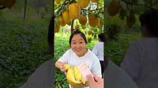 Harvesting the King of Fruits  Picking Fresh Durian  Worlds Smelliest Fruit shorts ytshorts [upl. by Nathan372]