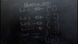 Quantum Computing Understanding Quantum Gates  PauliX Z Hadamard CNOT SWAP and Rotation Gate [upl. by Nolita]