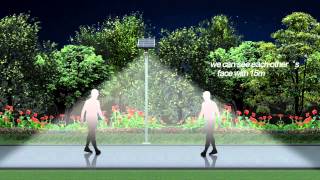 Smart Solar Street Lighting [upl. by Zerdna652]