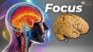 The Neuroscience of Focus [upl. by Verity]