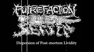 Putrefaction Sets In  Dispersion of Post​​mortem Lividity 2021  Goregrind [upl. by Sassan]