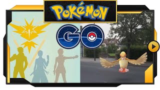 Pokémon GO  PvP battles please  02 [upl. by Rodgers496]