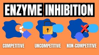 ENZYME INHIBITION EXPLAINED [upl. by Prosser]