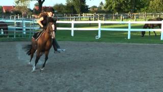 Handicap Reiten  Kira gehn die Pferde durch D [upl. by Fallon]