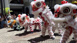 Preparing chinese new year 2024 mauritius at Caudan Waterfront PortLouis POV [upl. by Imar]