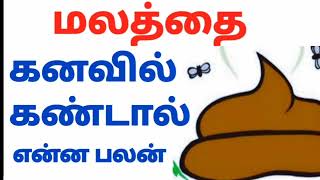 மலம் கனவில் கண்டால்  malam kanavil kandal enna palan [upl. by Brittan648]