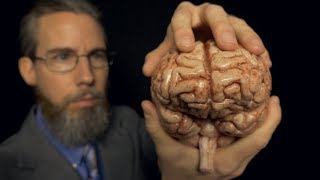 Massaging Your Brain with Professor Clemmons  ASMR [upl. by Castera396]