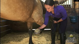 Magic Cushion  How It Works How to Apply It amp How Magic Cushion Hoof Packing Helps Your Horse [upl. by Eyanaj]