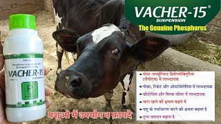 VACHER15  PPH  Pica rickets amp osteomalacia  Ketosis amp milk fever  Improves milk production [upl. by Repooc]