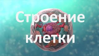 8 Строение клетки 9 или 1011 класс  биология подготовка к ЕГЭ и ОГЭ 2018 [upl. by Assela657]