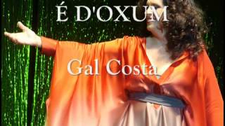 GAL COSTA É DOXUM [upl. by Eiser261]