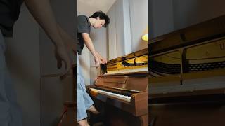 Cover of “Sofia” by Clairo pianocover coversong producer nobyn [upl. by Alexina]