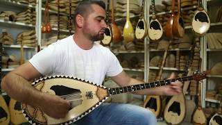 Melodi me Sharki Himzi Zekaj LIVE Playing Albanian Sharki [upl. by Nolak]