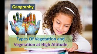 Types Of Vegetation and Vegetation at High Altitude Geography [upl. by Zurc]