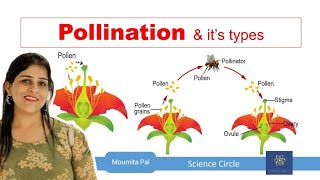 Self amp Cross Pollination  Sexual Reproduction in Plants II Agents of Pollination II [upl. by Maiga]