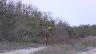 200quot 8 point with drop tines [upl. by Pillyhp]