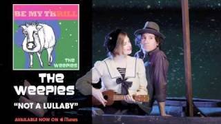 The Weepies  Not A Lullaby Audio [upl. by Aneev]