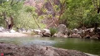 Friends filmed themselves in accidental drowning [upl. by Braswell]