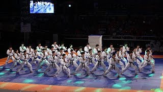 2018 제주 한마당 Jeju World Taekwondo Hanmadang，Opening Ceremony，Kukkiwon Demonstration Team 국기원，国技院 [upl. by Anaidirib]