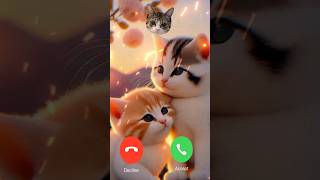 2024 Short calling Effect ringtone ♥️♥️ Call Sound Effect shorts ringtone catcalling [upl. by Means76]